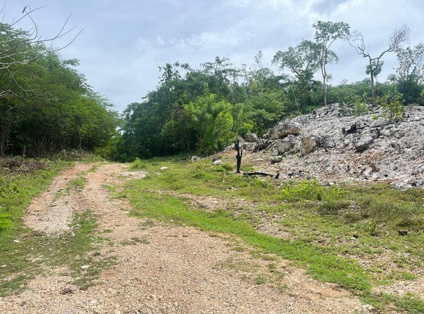 LOT 8 WOODSIDE, Woodside, Clarendon