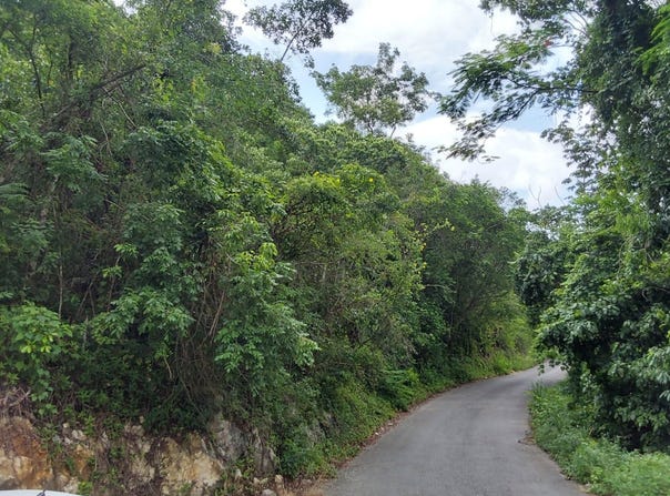 RAMBLE HILL unit: Lot 2, Bogue, St. James
