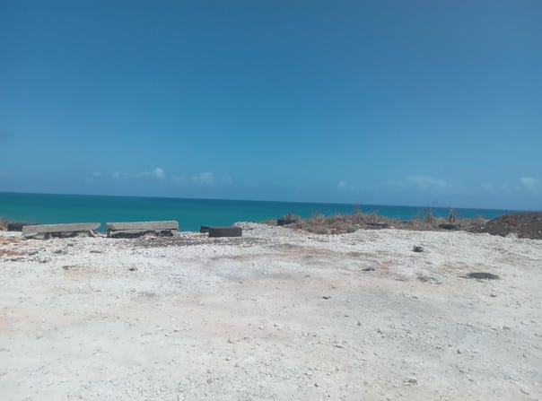 CREIGHTON HALL ESTATE, WHITE HORSES, St. Thomas