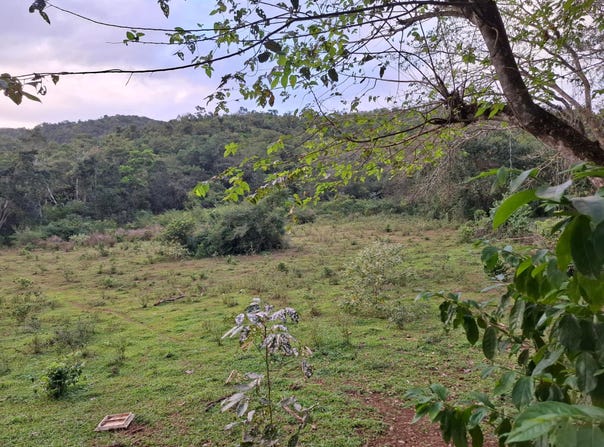 HOME CASTLE, Browns Town, St. Ann
