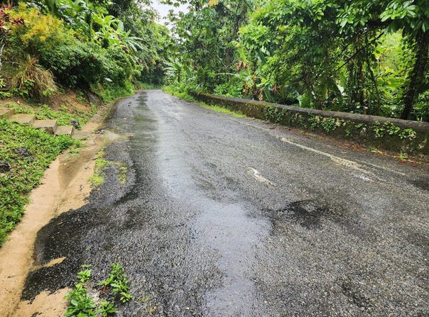 Lot 34 RED HASSEL PORTLAND, Port Antonio, Portland