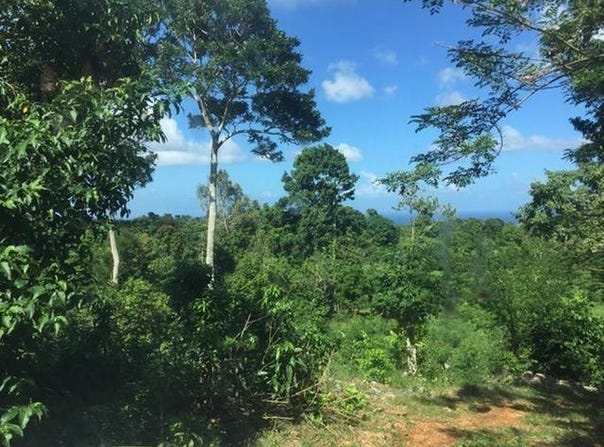 MANGO VALLEY, ST. MARY, Boscobel, St. Mary