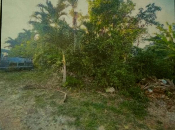 GREENCASTLE PORT MARIA, S, Port Maria, St. Mary