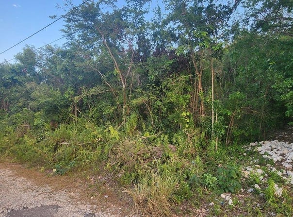 BELGRADE AVENUE, Montego Bay, St. James