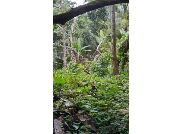 AIRY CASTLE, WARD RIVER,, AIRY CASTLE, St. Thomas