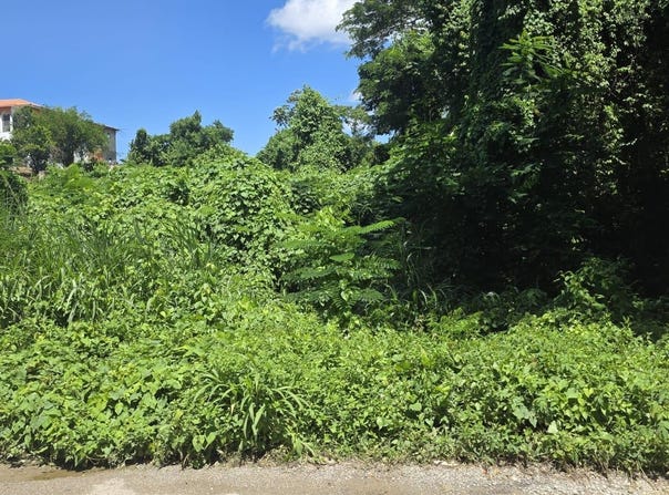 HASKETTE ROAD, Negril, Westmoreland