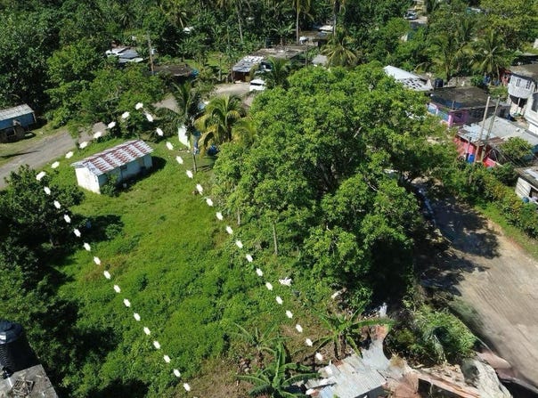 PLANTATION HEIGHTS, Bickersteth, St. James