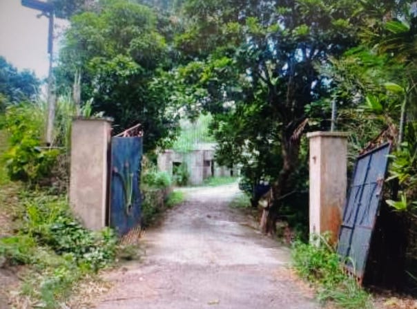 MARYLAND, JACKSHILL, ST., Kingston 6, St. Andrew