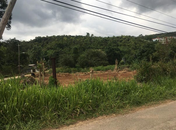 MAVERLEY MOUNTAIN, Red Hills, St. Andrew