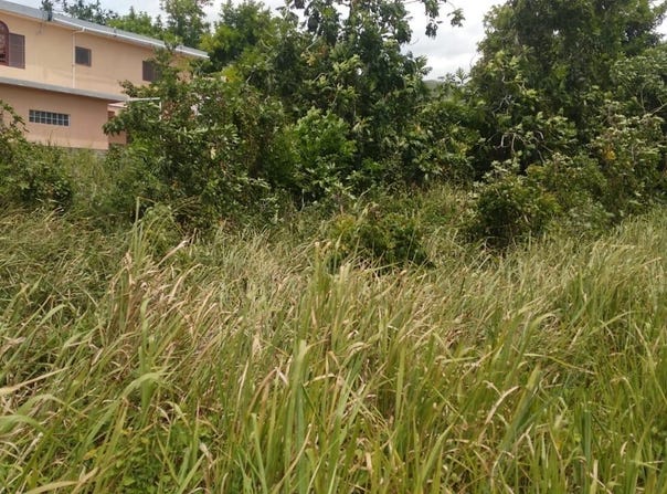 241 CORAL GARDEN WINDSOR AVEN, Little River, St. James
