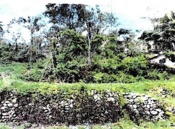 LAND PART OF PETERSVILLE, Petersville, Westmoreland