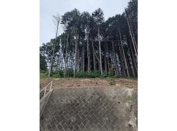 Kitsuregawa 喜連川, Tochigi, Tochigi