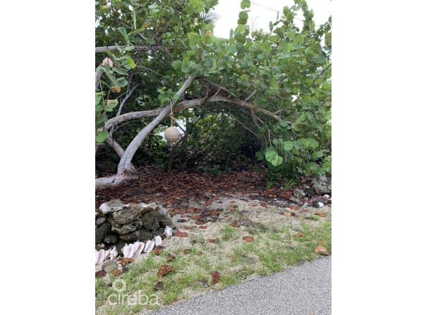 Cayman Brac East, Cayman Brac