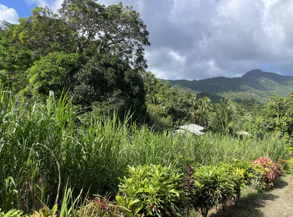 Bexon, Bexon, Castries