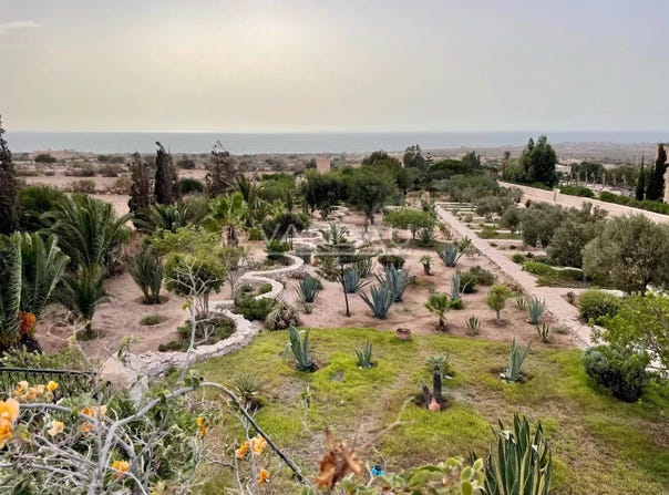 Essaouira, Marrakesh-Safi 44000