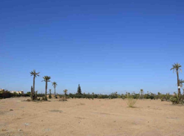 N8, Marrakesh, Marrakesh-Safi 40150