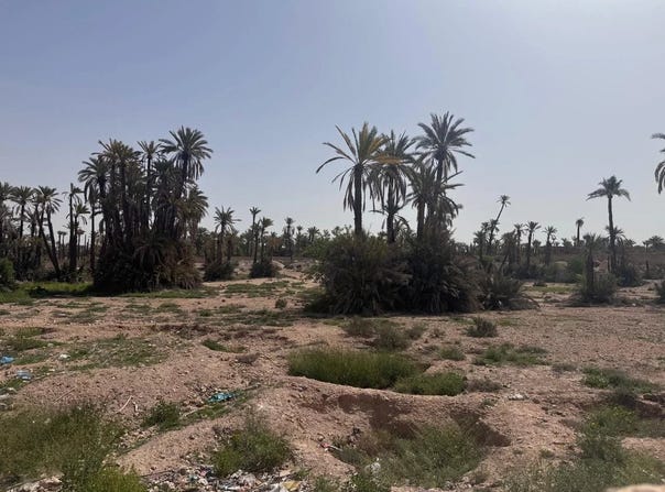 Marrakech, Marrakesh-Safi 40000