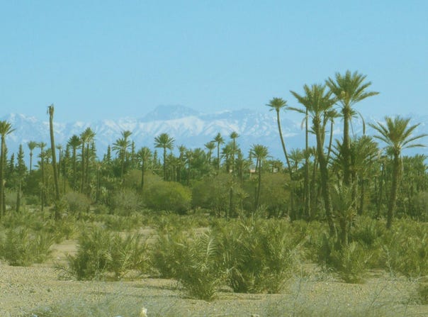 Marrakech, Marrakesh-Safi 40000
