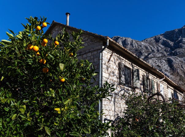 Dobrota, Kotor Municipality