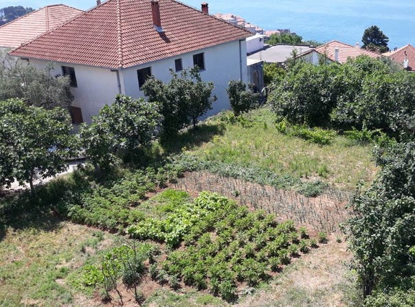 Plot in Ulcinj, Ulcinj, Ulcin