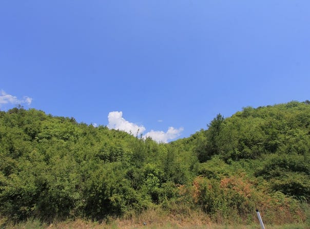 Plot in Radanovici, Kotor, Kotor