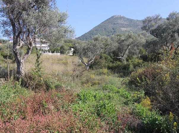 Bar, Bar Municipality 85000