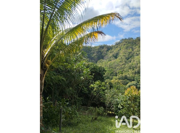 Le Morne-Vert, Saint-Pierre 97226