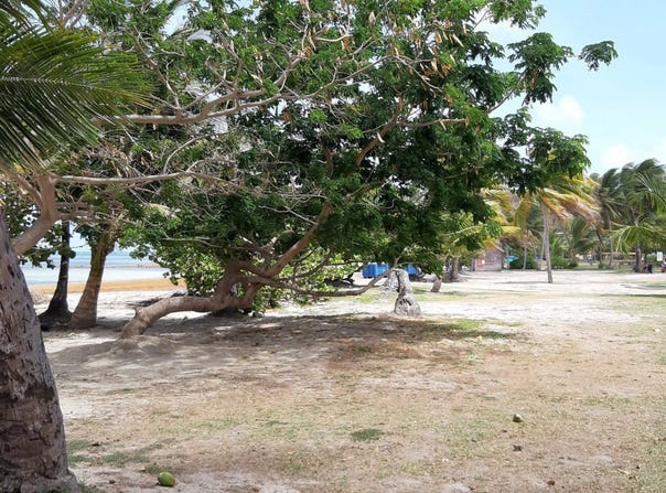 Le Vauclin, Martinique 97280