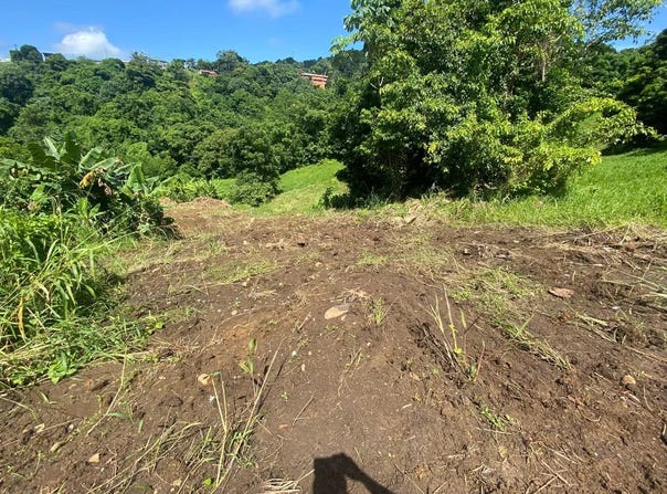 Le Vauclin, Martinique 97280