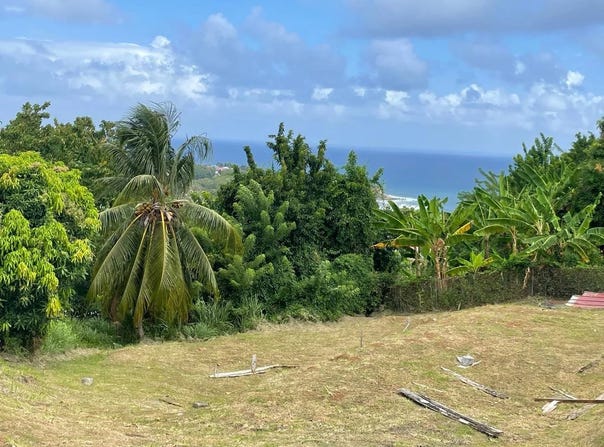 Le Marigot, Martinique 97225