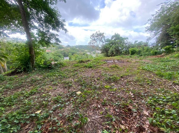 La Trinité, Martinique 97220
