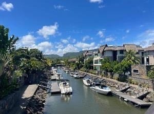 Tamarin, Rivière Noire District
