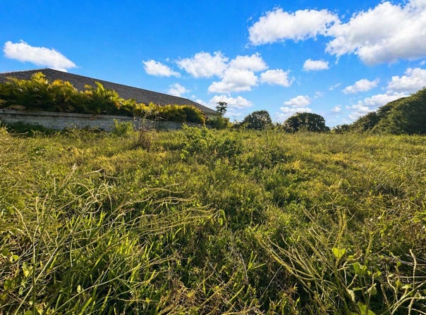 Mon Gout, Pamplemousses District