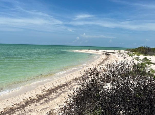 Celestún, Celestún, Yucatan