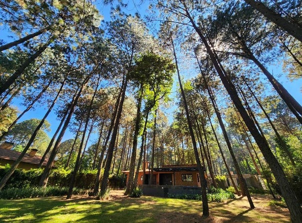 Cerro Gordo, Valle de Bravo, State of Mexico 51200