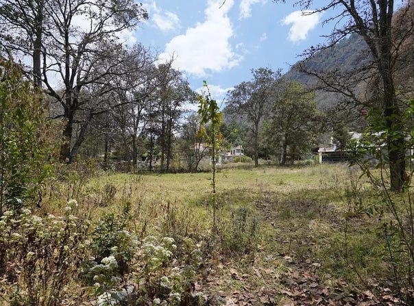 Clarín, La Cañada, Chiapas 29264