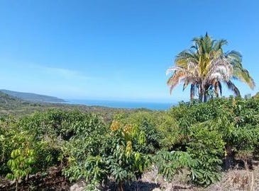 Nayarit, Nayarit