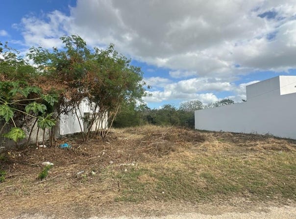 8 Calle 42, Merida, Yucatan 97143