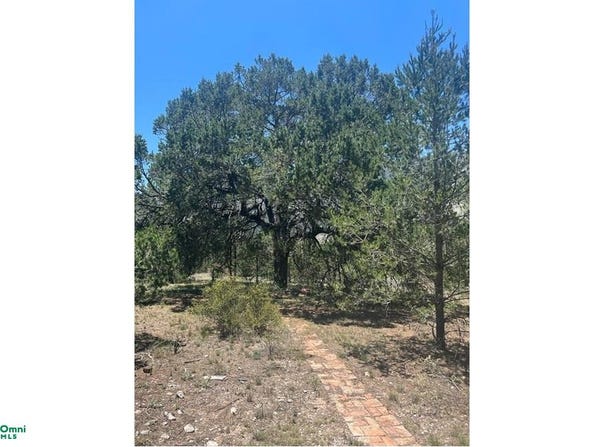 Arteaga, Arteaga, Coahuila de Zaragoza, Arteaga, Coahuila 25393