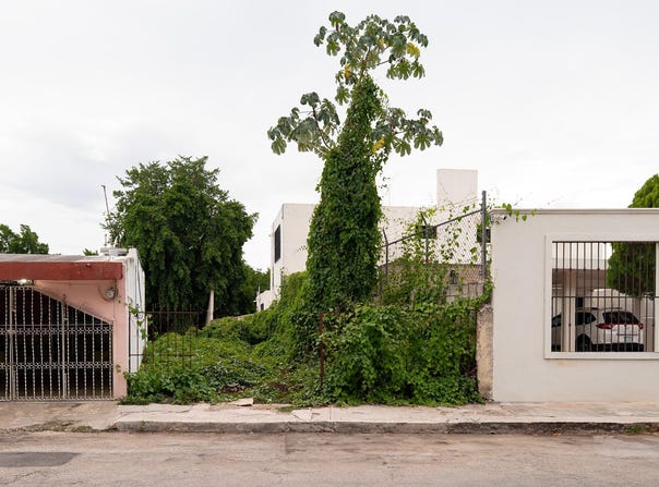 Picture of C. 82 443 D, Centro, 97000 Mérida, Yuc., Mexico, Merida, Yucatan 97000 ...