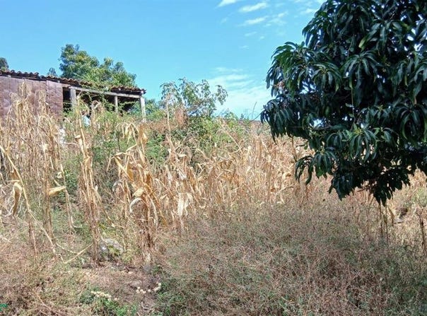 JESUS CARRANZA 58, Tonila, Tonila, Jalisco, Tonila, Jalisco 49840