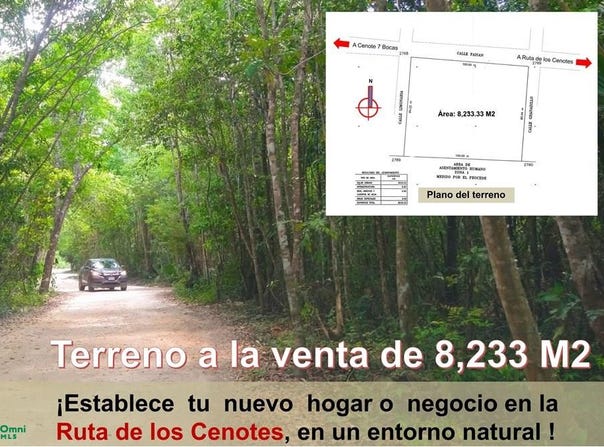 Ruta de los Cenotes, Calle Faisán , Puerto Morelos, Puerto Morelos, Quintana Roo, Puerto Morelos, Quintana Roo 77586