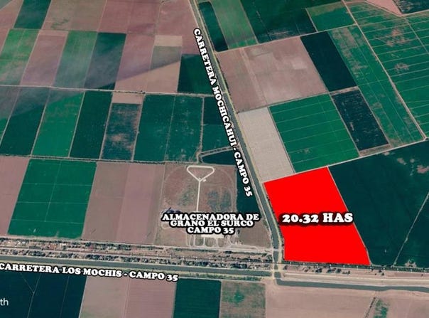 Carretera Mochicahui-Campo 35, esquina con Canal Lateral 18, Mochicahui, El Fuerte, Sinaloa, El Fuerte, Sinaloa 81890