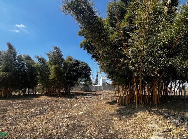 3ra Prolongación Norte 0, Barrio San Bernabé, Ocozocoautla de Espinosa, Chiapas, Ocozocoautla de Espinosa, Chiapas 29140