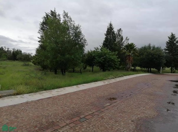 circuito balbares G 101, Villa de Pozos, San Luis Potosí, San Luis Potosí, San Luis Potosi, San Luis Potosi 78421