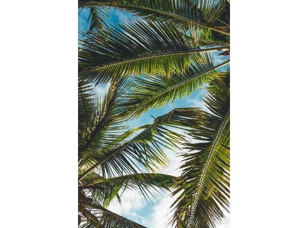 Quintana Roo, Quintana Roo