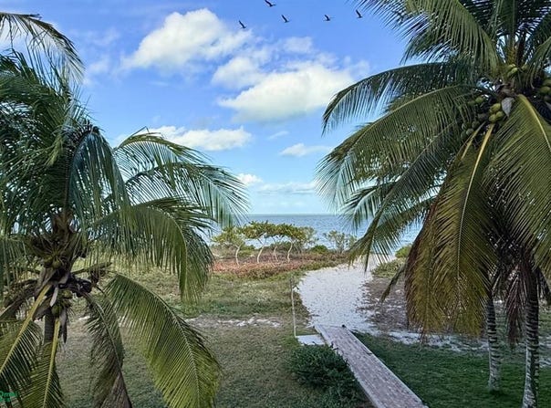 25 341, San Crisanto, Sinanché, Yucatán, Sinanche, Yucatan 97424