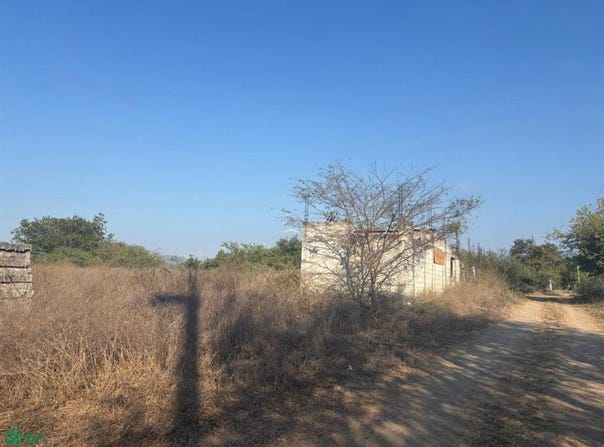 RANCHO NUEVO S/N, Los Asmoles, Colima, Colima, Colima, Colima 28640