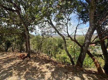 Jalisco, Jalisco