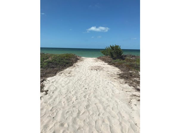 Sinanché Calle 23 22, 97424 San Crisanto, Yuc., Mexico, San Crisanto, Yucatan 97424